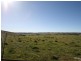 Windera NSW 2800
