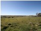 Windera NSW 2800