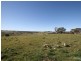 Windera NSW 2800