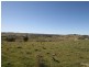Windera NSW 2800