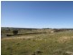 Windera NSW 2800