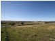 Windera NSW 2800