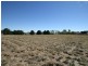 Millthorpe NSW 2798