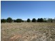Millthorpe NSW 2798