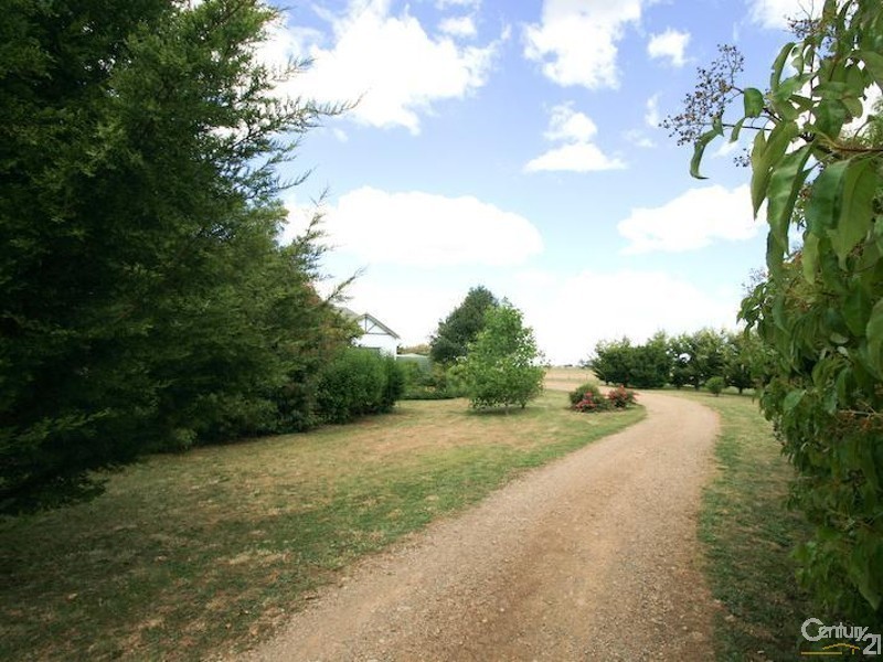 Spring Terrace NSW 2798