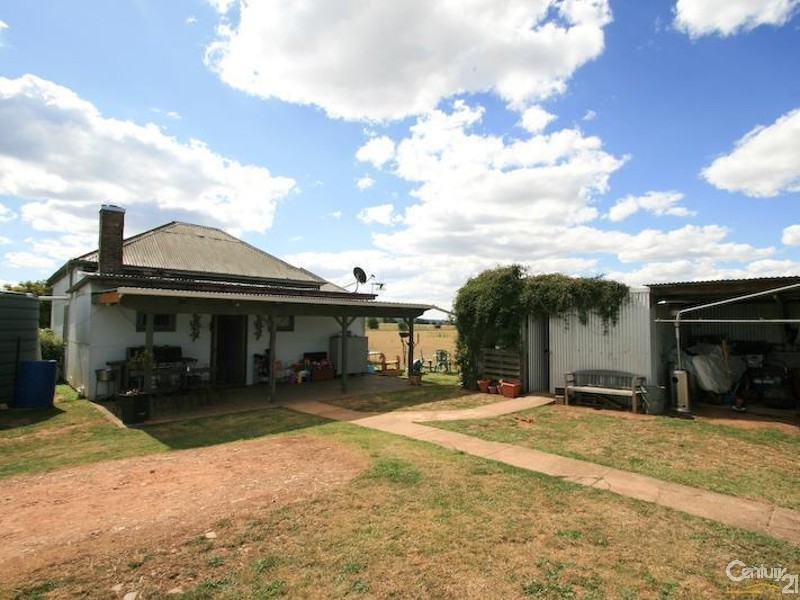 Spring Terrace NSW 2798