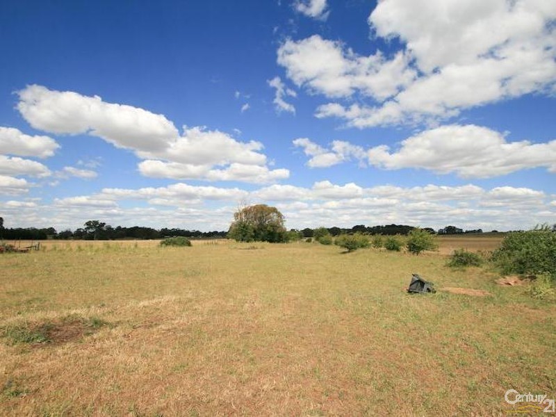 Spring Terrace NSW 2798