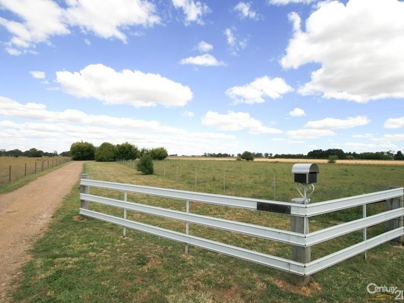 Spring Terrace NSW 2798