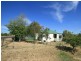 Millthorpe NSW 2798