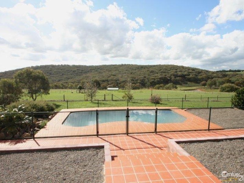 Orange NSW 2800