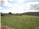Orange NSW 2800