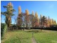 Orange NSW 2800