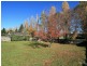 Orange NSW 2800