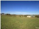 Orange NSW 2800