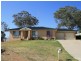 Orange NSW 2800