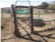 1562 Lower Lewis Ponds Rd, Orange NSW 2800