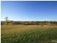 Orange NSW 2800