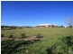 Orange NSW 2800
