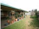 Orange NSW 2800