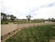Orange NSW 2800
