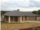 Orange NSW 2800