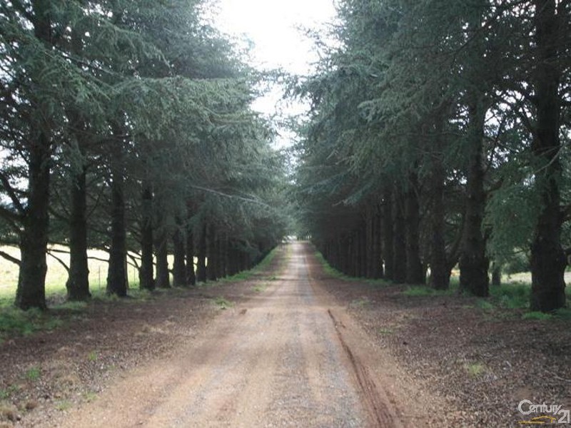 123 Orchard Road, Orange NSW 2800