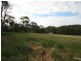 Orange NSW 2800