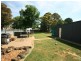 Orange NSW 2800