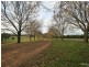 Orange NSW 2800