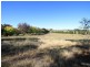 Orange NSW 2800