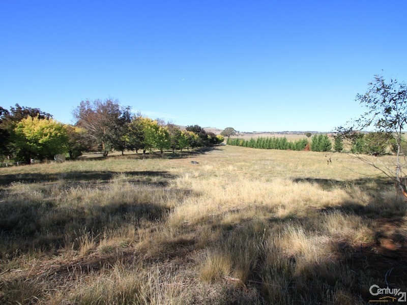 Orange NSW 2800