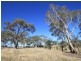 Orange NSW 2800