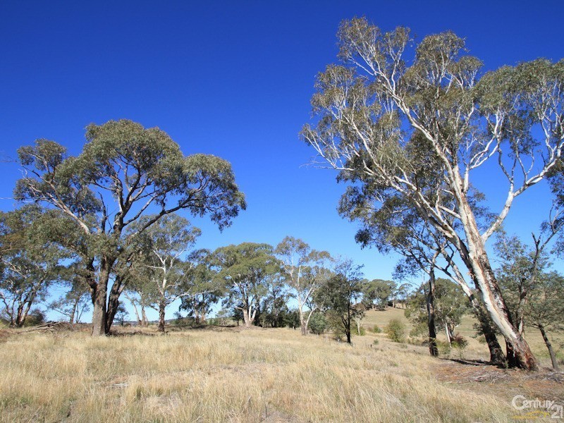 Orange NSW 2800