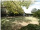 Orange NSW 2800