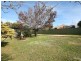 Orange NSW 2800