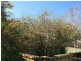 Orange NSW 2800