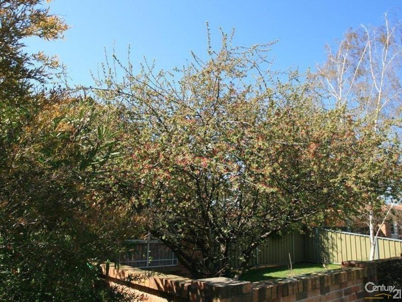 Orange NSW 2800