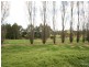 Orange NSW 2800