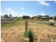 Orange NSW 2800