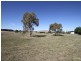 Orange NSW 2800
