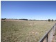 Orange NSW 2800