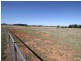 Orange NSW 2800