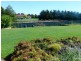 4 Pine Ridge Drive, Orange NSW 2800