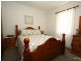 244 BYNG STREET, Orange NSW 2800
