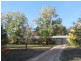 Orange NSW 2800