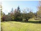 Orange NSW 2800