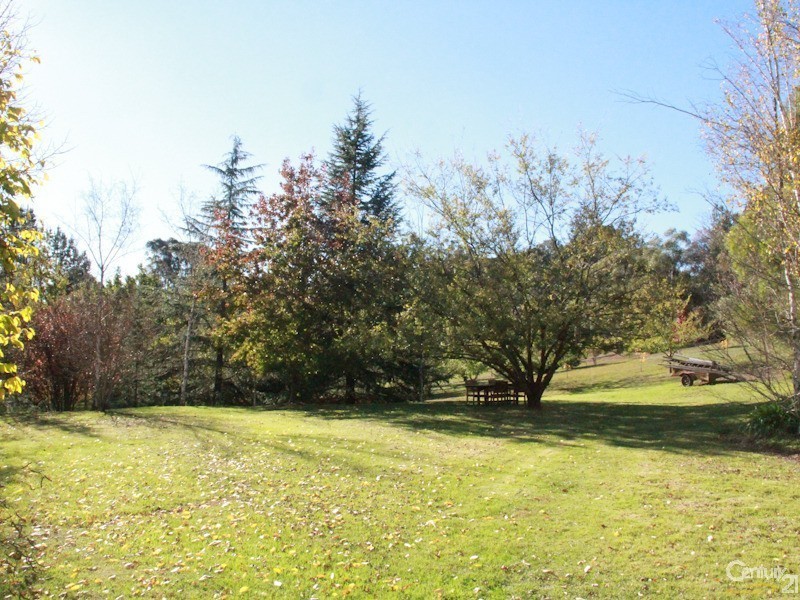 Orange NSW 2800
