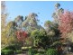 Orange NSW 2800