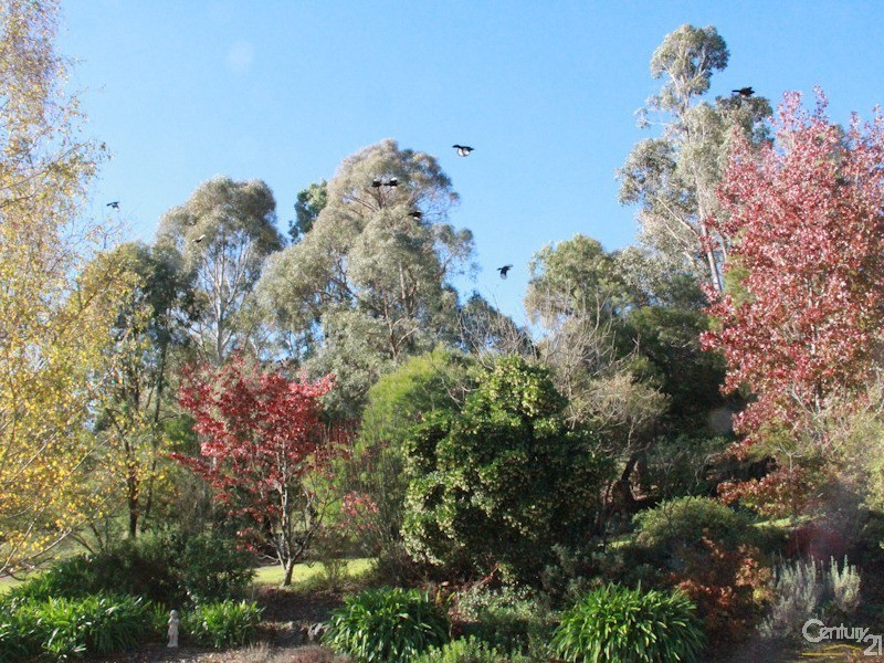 Orange NSW 2800
