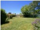 Orange NSW 2800